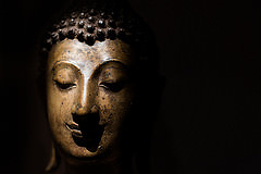 14991180046_e9869a0a53_m