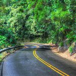 13227041133_8af4b1bf72_m