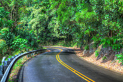 13227041133_8af4b1bf72_m