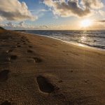 17318240055_22220cc1b1_z