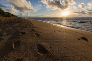 17318240055_22220cc1b1_z