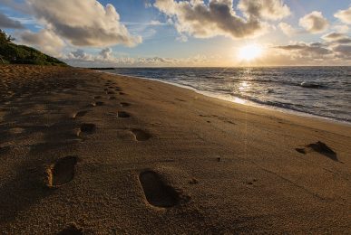 17318240055_22220cc1b1_z